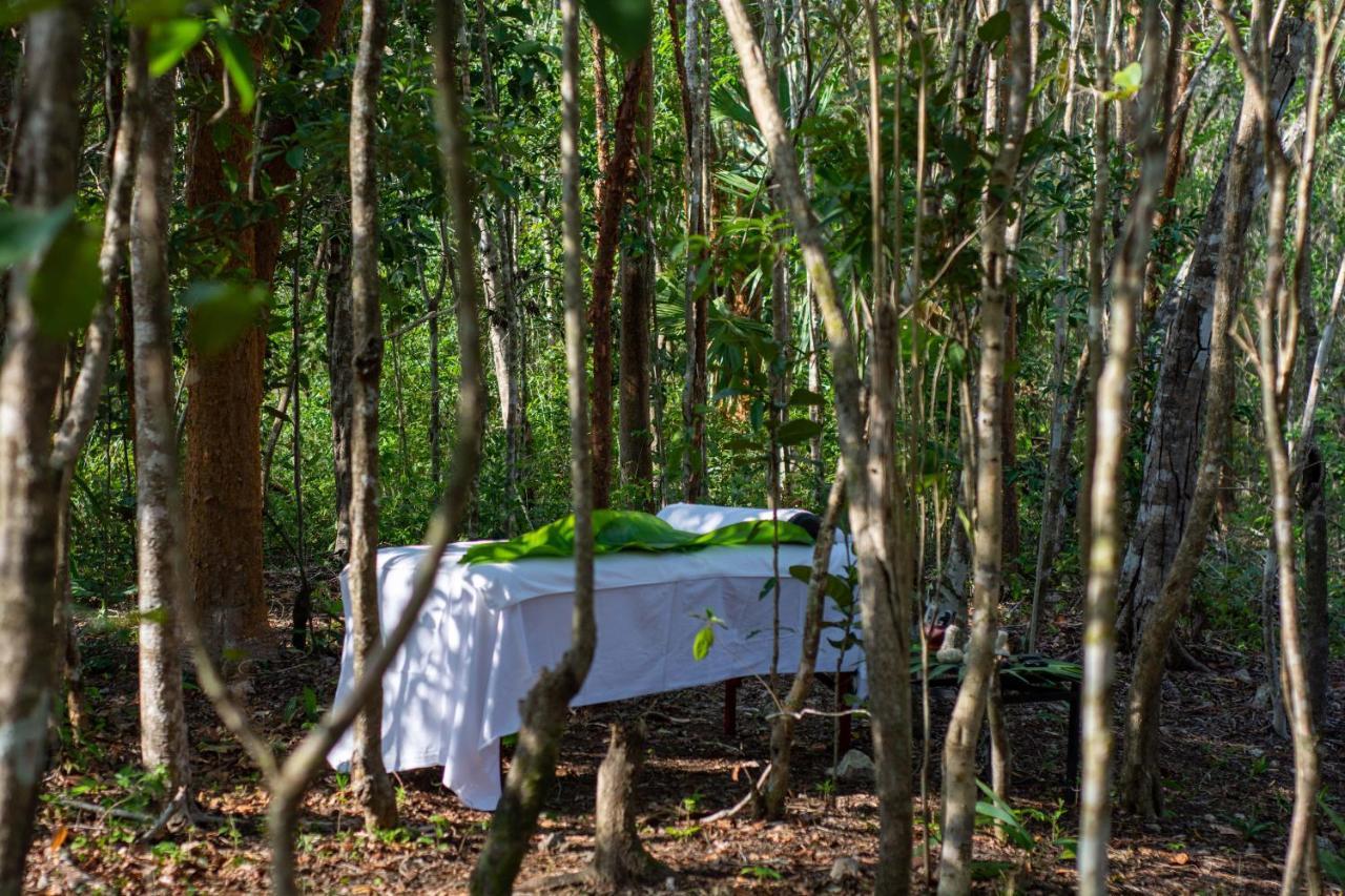 Aldea Coba An Escape Boutique Experience Hotel ภายนอก รูปภาพ