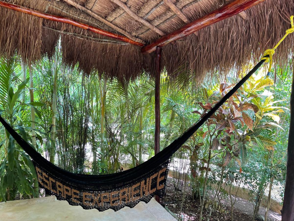 Aldea Coba An Escape Boutique Experience Hotel ภายนอก รูปภาพ