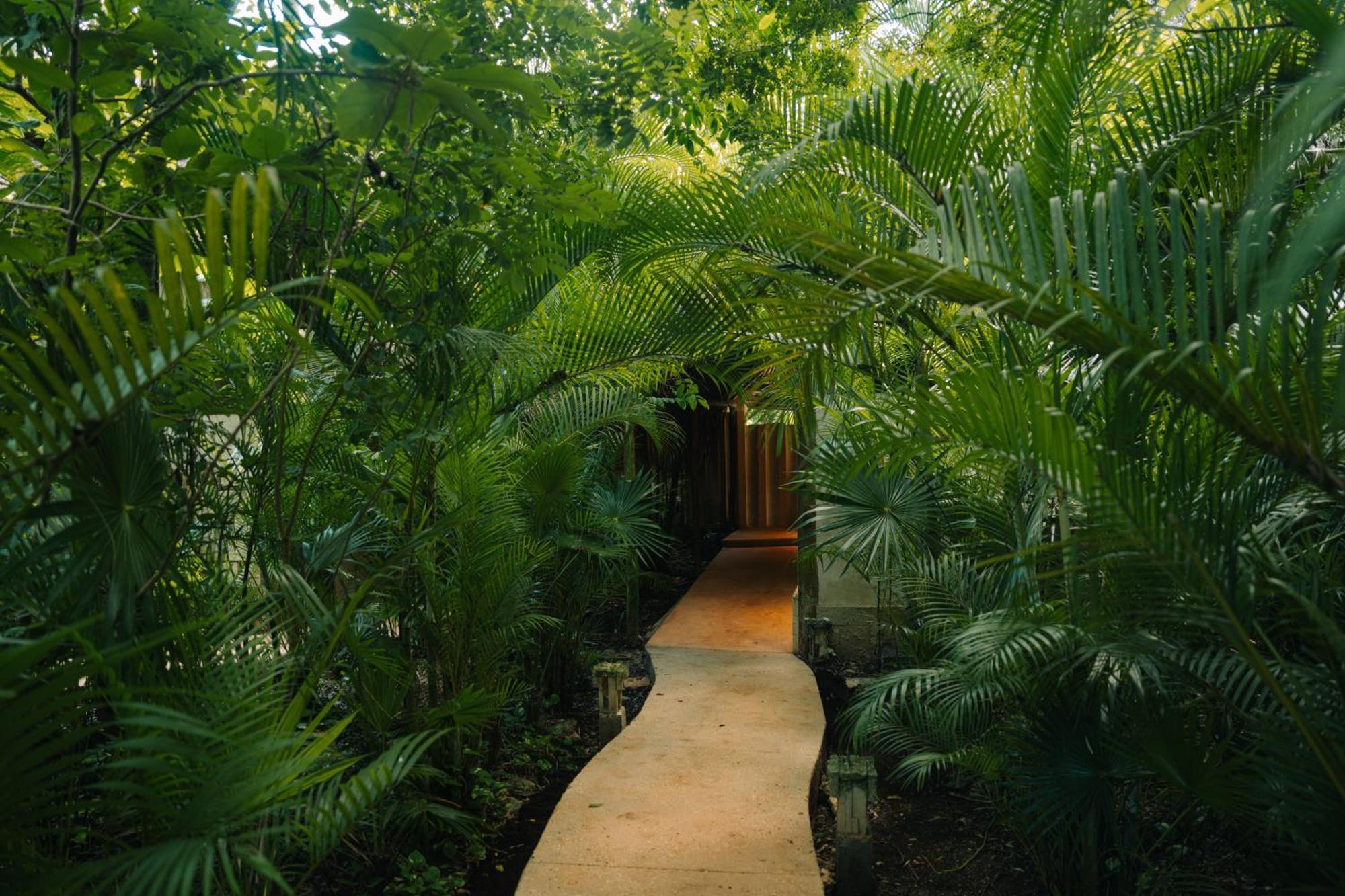 Aldea Coba An Escape Boutique Experience Hotel ภายนอก รูปภาพ