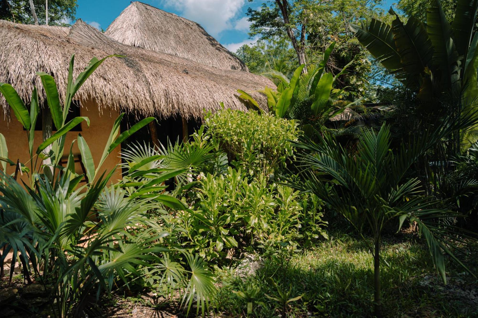 Aldea Coba An Escape Boutique Experience Hotel ห้อง รูปภาพ